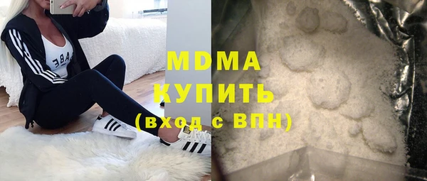прущие грибы Инта