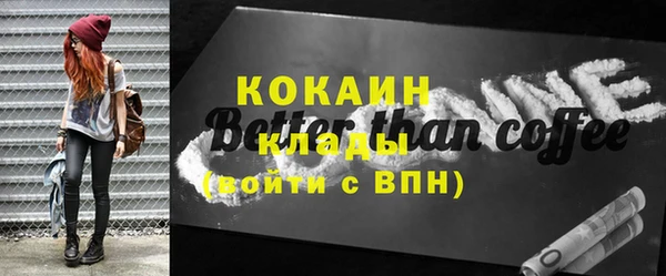 прущие грибы Инта
