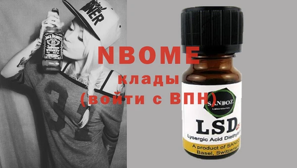прущие грибы Инта