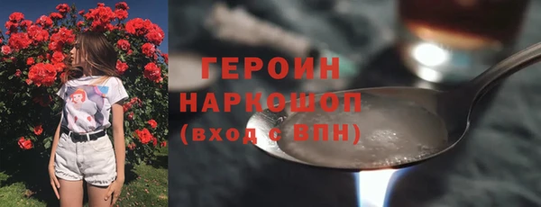 прущие грибы Инта