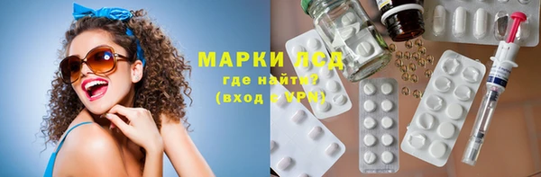 прущие грибы Инта