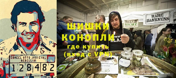 прущие грибы Инта