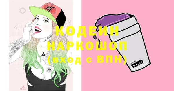 прущие грибы Инта