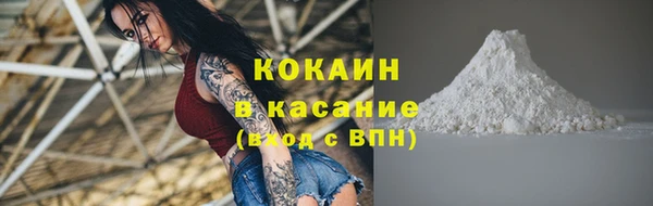 прущие грибы Инта