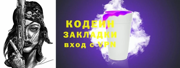 прущие грибы Инта