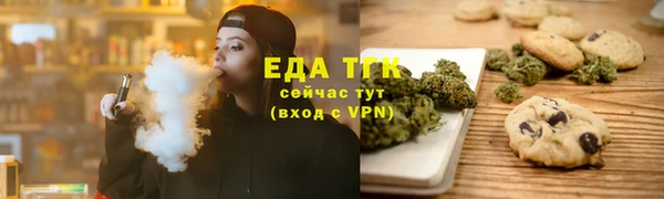прущие грибы Инта