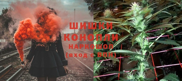 сатива Каменск-Шахтинский