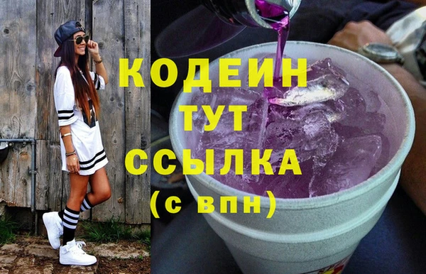 прущие грибы Инта