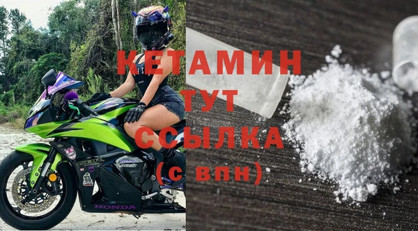 прущие грибы Инта