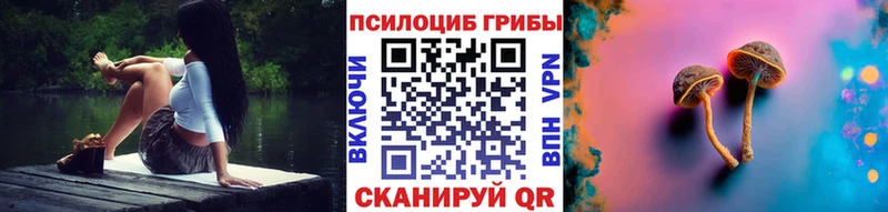 Купить закладки  Суровикино  Псилоцибиновые грибы GOLDEN TEACHER 